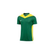 Zwembroek Nike Park Derby Iv