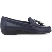 Mocassins Melluso 01087Q-257735