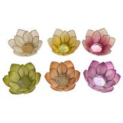 Kandelaars, kaarshouders Signes Grimalt 6U Kaarsenhouder