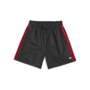 Korte Broek adidas Skt wtr short