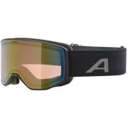 Sportaccessoires Alpina -