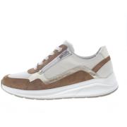 Lage Sneakers Solidus Kitty