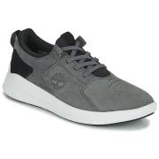 Lage Sneakers Timberland BRADSTREET ULTRA