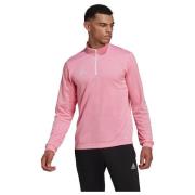 Sweater adidas Haut Entrada 22