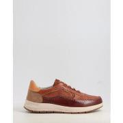 Lage Sneakers Pikolinos SALAMANCA M7W-6423C1