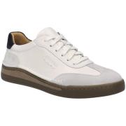 Lage Sneakers Josef Seibel -