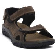 Sandalen Imac PACIFIC FANGO
