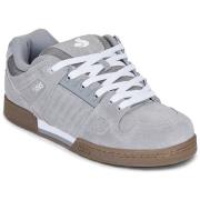 Skateschoenen DVS CELSIUS