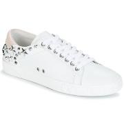 Lage Sneakers Ash DAZED