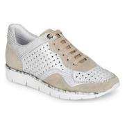 Lage Sneakers Regard JARD V4 CROSTA P STONE