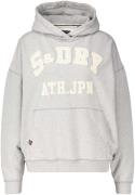 Superdry Hoodie Atlatic Grijs dames