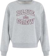 Anna Blue Sweater Blue Crew Grijs dames