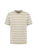 Dstrezzed T-shirt Nereo Grijs heren