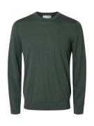 Selected Homme Trui Ray gebreid Crew Neck Groen heren