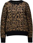 With Black Pullover Alondra Leo  Multi dames