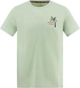 A Fish Named Fred T-shirt Palm  Groen heren