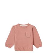 Noppies Babykleding Girls Sweater Vranje Long Sleeve Bruin