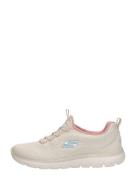 Skechers - Summits - New Nature