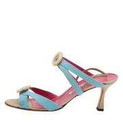 Pre-owned Sandalen Manolo Blahnik Pre-owned , Blue , Dames