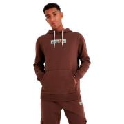 Hoodies Ellesse , Brown , Heren