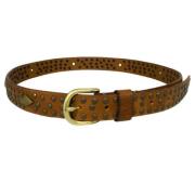 Bruin Leren Riem met Messingkleurige Studs en Goudkleurige Gesp Isabel...