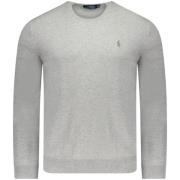 Grijze Polo Trui uit Fw23 Collectie Polo Ralph Lauren , Gray , Heren