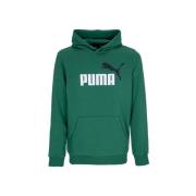 Grote Logo Hoodie in Vine Kleur Puma , Green , Heren