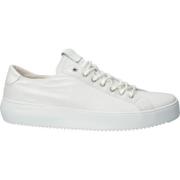 Morgan - Zg30 White - Canvas LOW Sneaker Blackstone , White , Heren