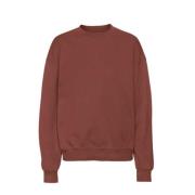 Sweatshirt Colorful Standard , Brown , Heren