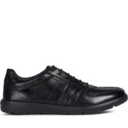 Zwarte Heren Sneakers Geox , Black , Heren