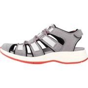 Zomer Platte Sandalen Vrouwen Elegant Stijl Clarks , Gray , Dames