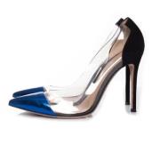 Pre-owned Pumps Gianvito Rossi Pre-owned , Blue , Dames