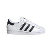 Klassieke Superstar Sneakers Adidas Originals , White , Heren