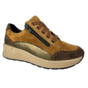 Sneaker Schoenen Solidus , Brown , Dames