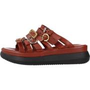 Sliders Mjus , Brown , Dames