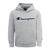 Junior Geborduurde Script Logo Hoodie Champion , Gray , Heren