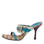 Pre-owned Leather sandals Gucci Vintage , Blue , Dames