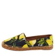 Pre-owned Fabric flats Dolce & Gabbana Pre-owned , Multicolor , Dames
