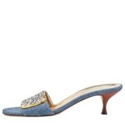 Pre-owned Denim sandals Dolce & Gabbana Pre-owned , Blue , Dames