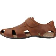 Heren Platte Sandalen Panama Jack , Brown , Heren