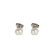 Pre-owned White Gold earrings Tiffany & Co. Pre-owned , Gray , Dames