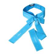 Blauwe Polyester Brede Taille Riem Dolce & Gabbana , Blue , Dames