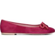 Fuchsia Suède Ballerina met Strik Pretty Ballerinas , Pink , Dames