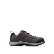 Grijze Sneakers voor Mannen Columbia , Gray , Heren