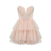 Korte tule jurk met kant en strass Aniye By , Pink , Dames