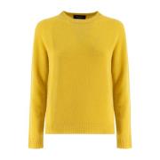 Klassieke Crew-Neck Jumper Fabiana Filippi , Orange , Dames