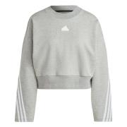 Toekomstige Iconen 3 Bandas Hoodie Adidas , Gray , Dames