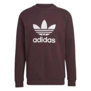 Lange mouwen T-shirt in Adicolor Classics Adidas , Purple , Heren