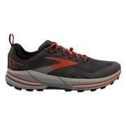 Cascadia 16 GTX hardloopschoenen Brooks , Gray , Heren