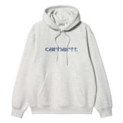 Hoodie Carhartt Wip , Gray , Heren